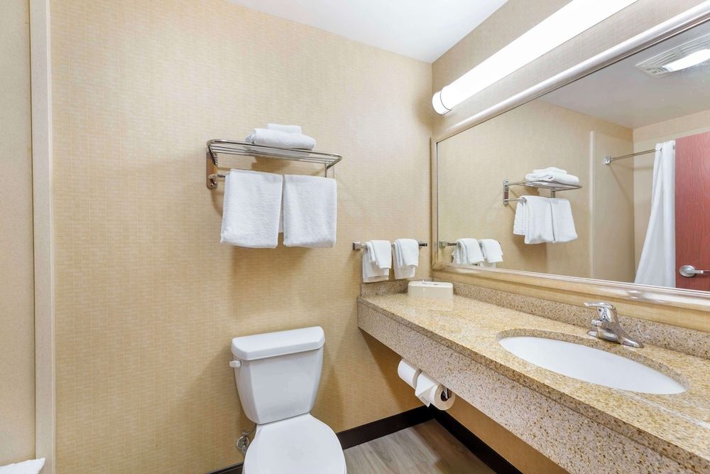 Suite, 1 King Bed, Accessible, Bathtub (with Sofabed)