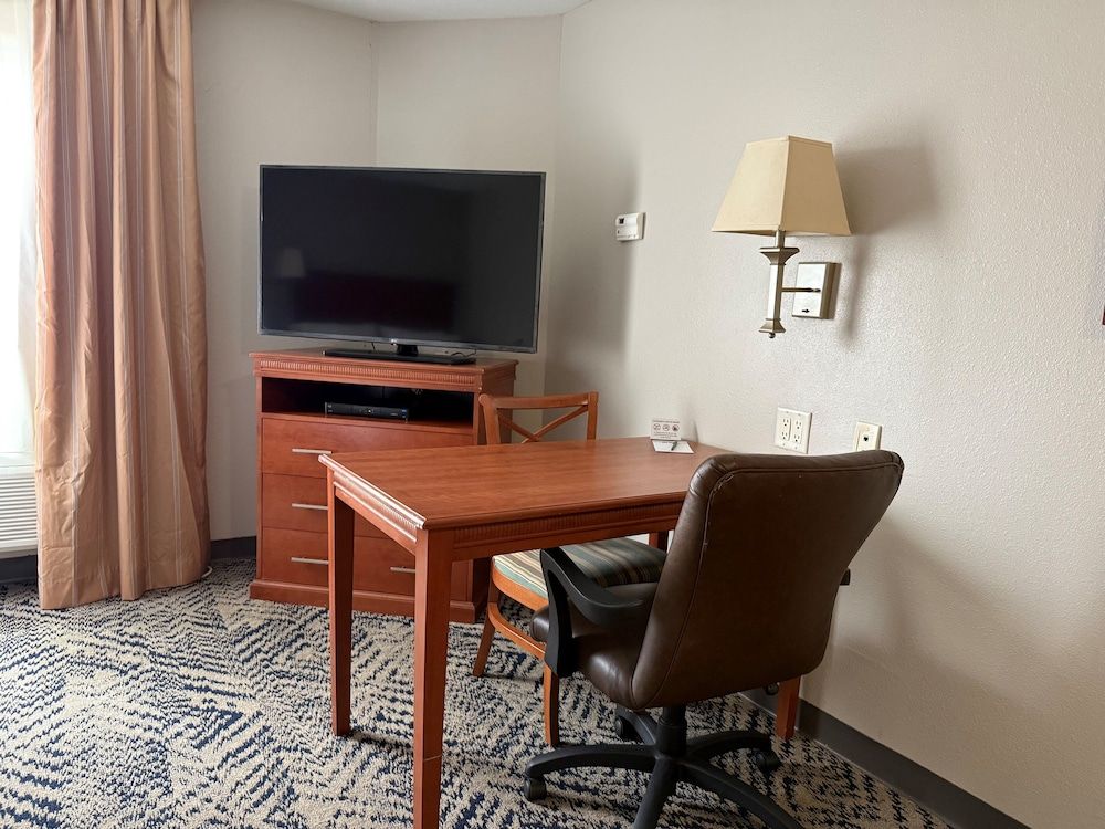 Studio Suite, 2 Double Beds, Roll-in Shower (Mobility Roll-In Shower)