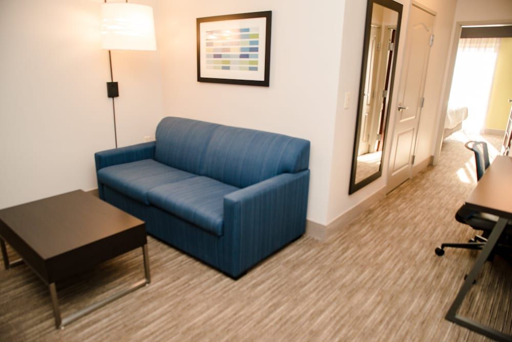 Suite, 1 King Bed with Sofa bed