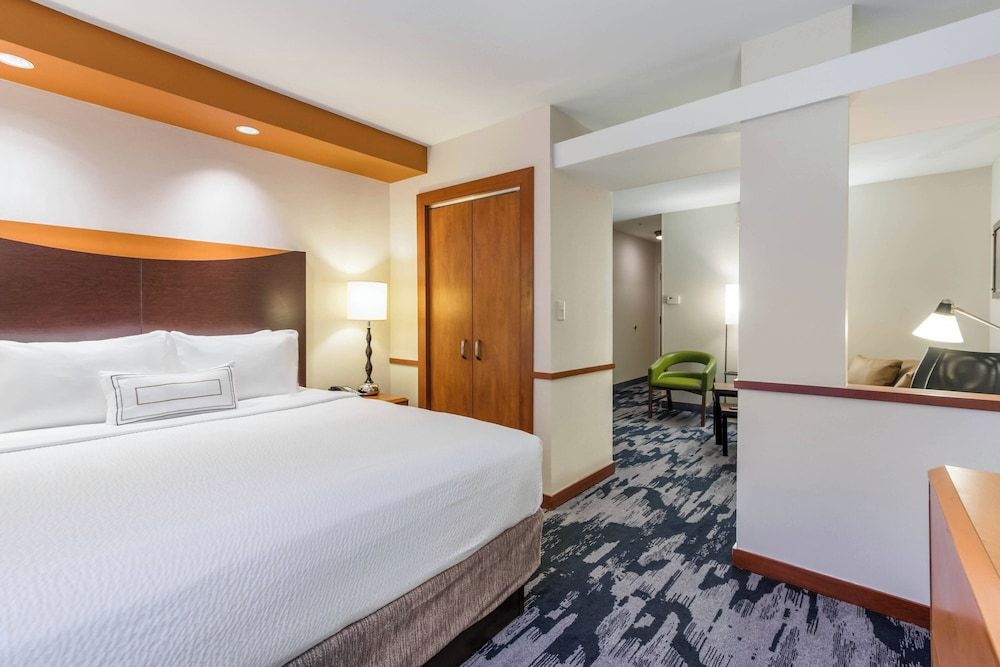 Room, 1 King Bed with Sofa bed