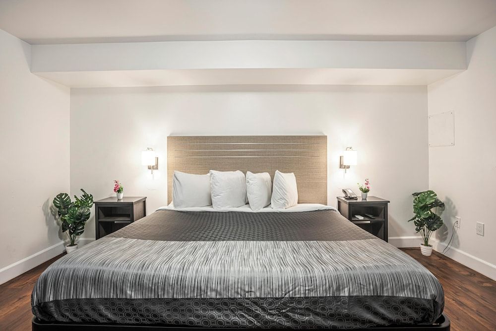 Executive Room, 1 King Bed