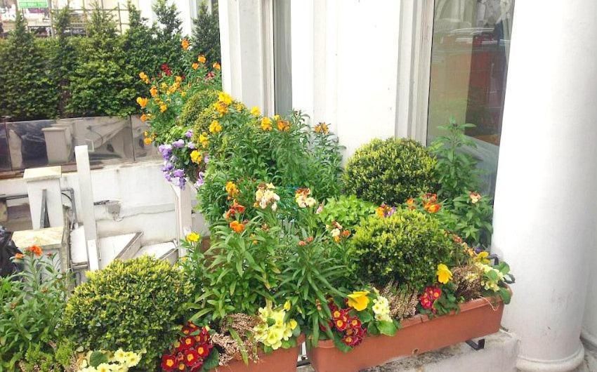 undefined Holland Inn Hotel 7