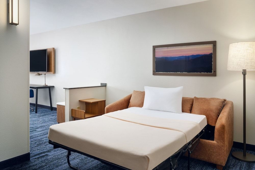 Suite, 1 King Bed with Sofa bed (Hearing Accessible)