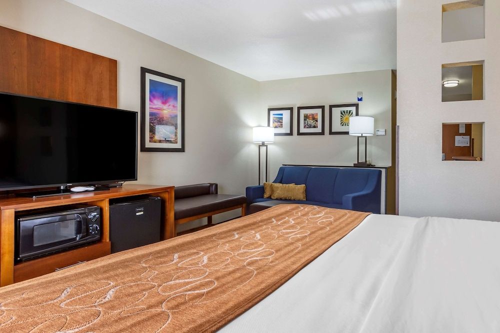 Suite, 1 King Bed with Sofa bed, Accessible, Non Smoking (Efficiency)