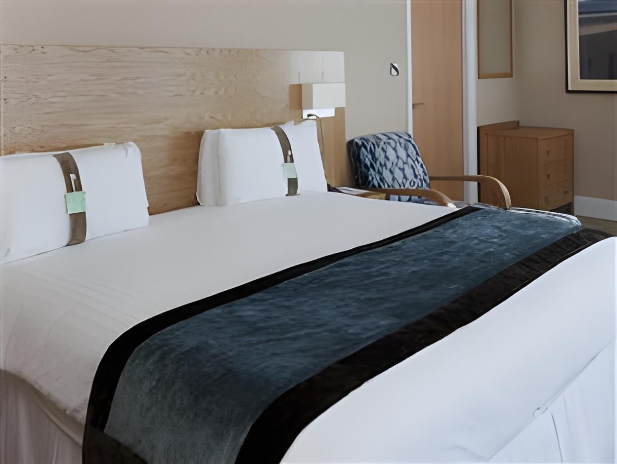 1 King Bed Standard Accessible