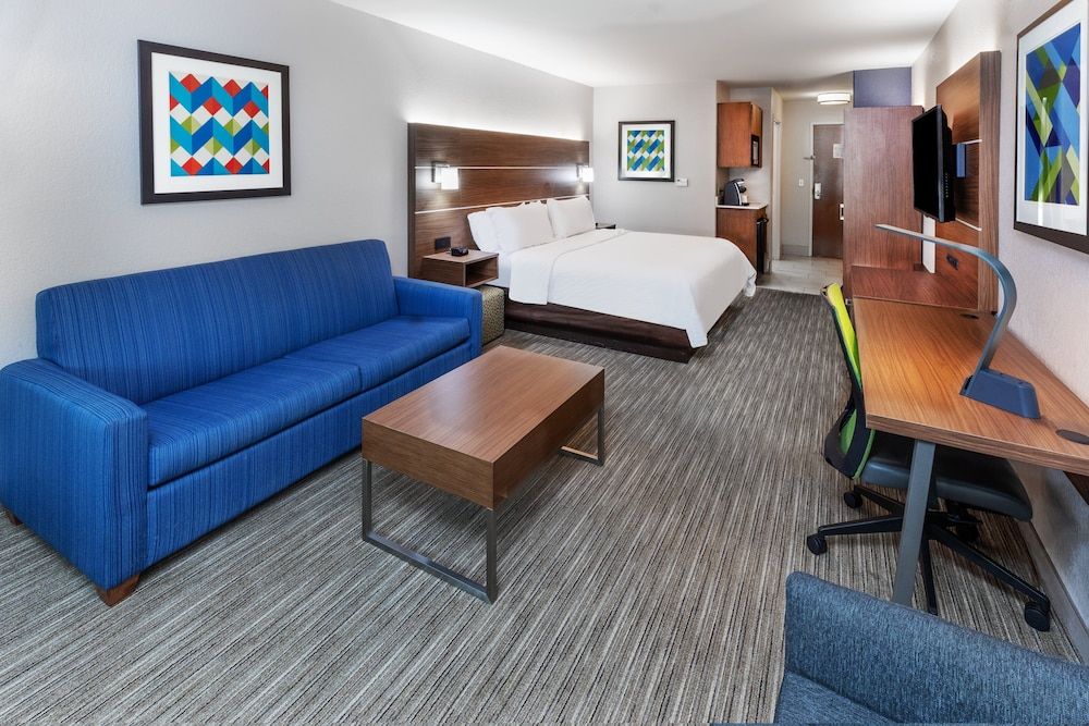 Suite, 1 King Bed with Sofa bed