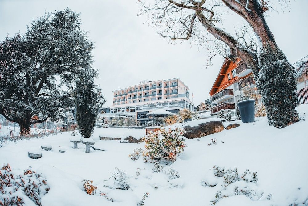 undefined Hotel Eden Spiez 4