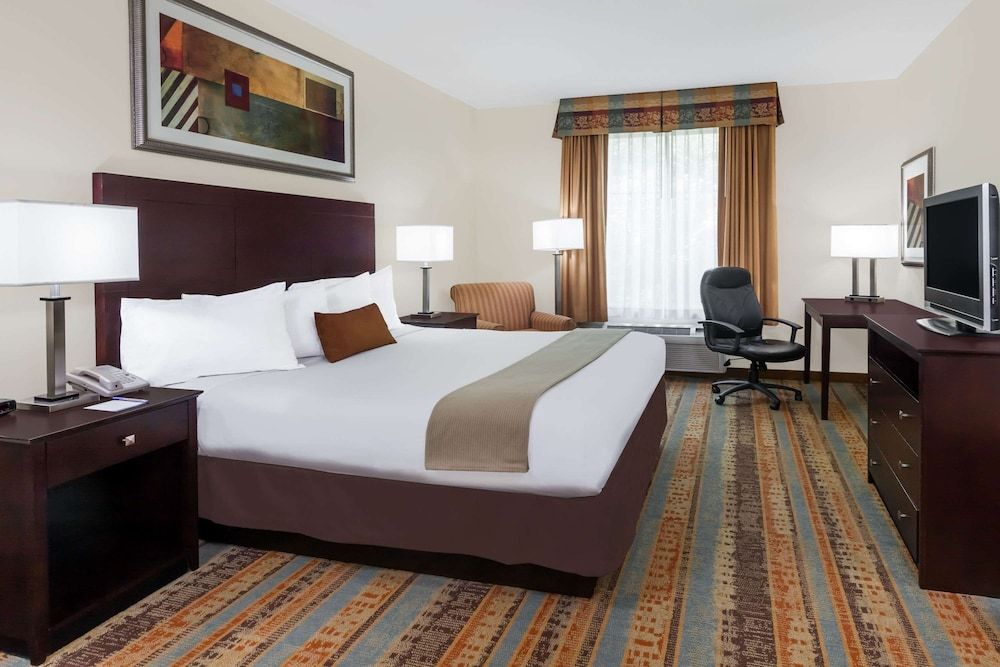 Room, 1 King Bed, Non Smoking