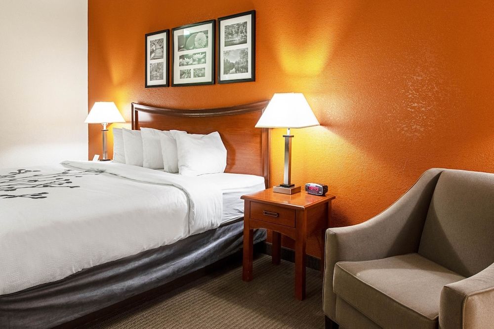 Standard Room, 1 King Bed, Non Smoking