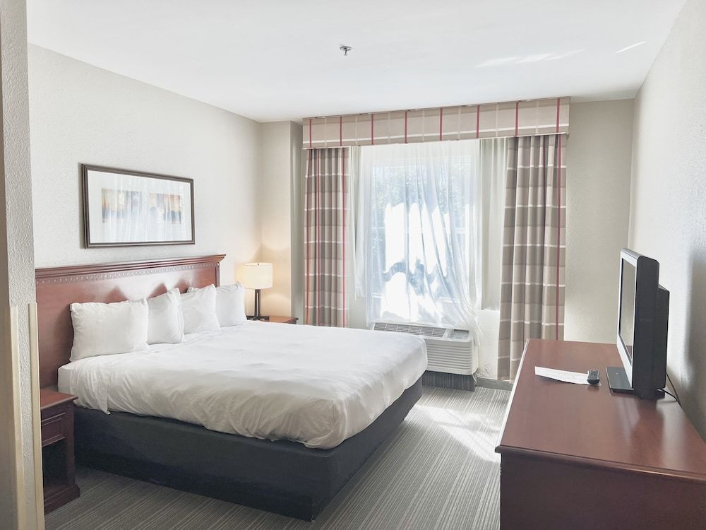 Room, 1 King Bed, Accessible, Non Smoking (Roll-in Shower)