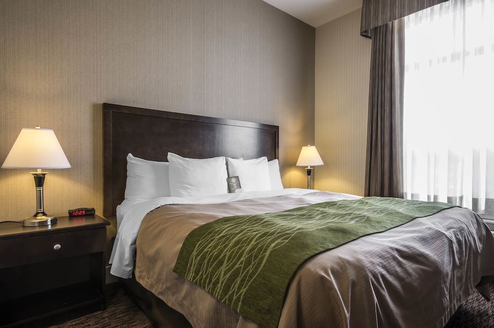 Suite, 1 King Bed with Sofa bed, Non Smoking