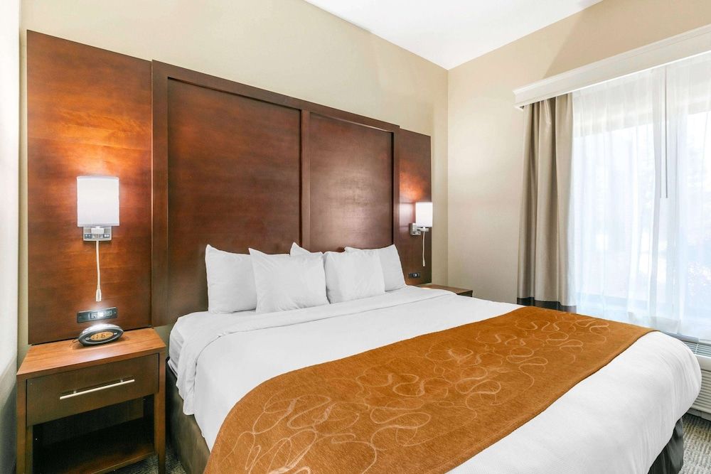 Suite, 1 King Bed with Sofa bed, Non Smoking (Upgrade)