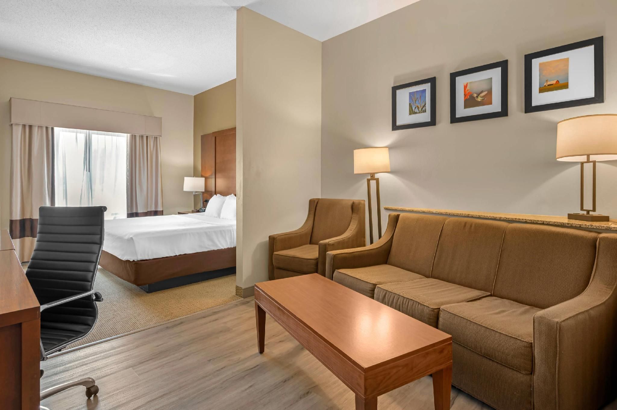 1 King Bed, Suite, Nonsmoking, Accessible