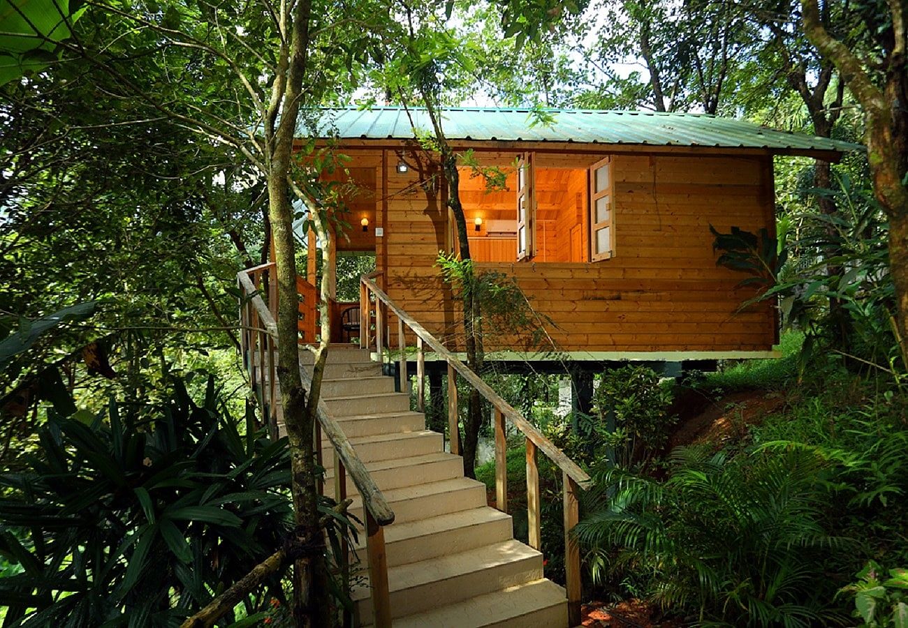 Wood House