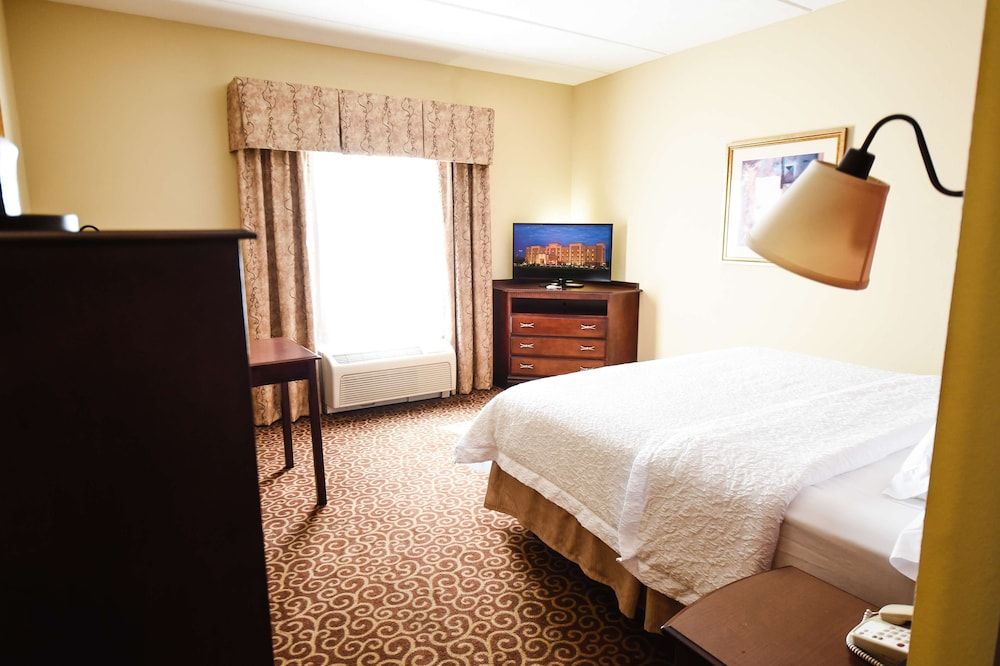 Room, 1 King Bed
