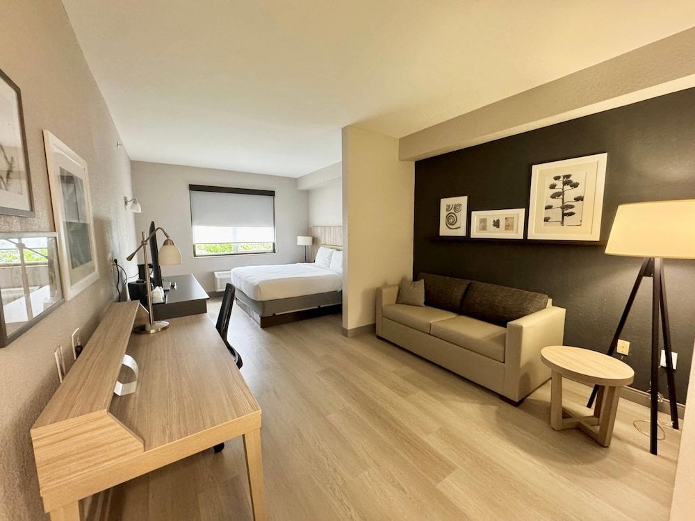 Studio Suite, 1 King Bed with Sofa bed, Non Smoking