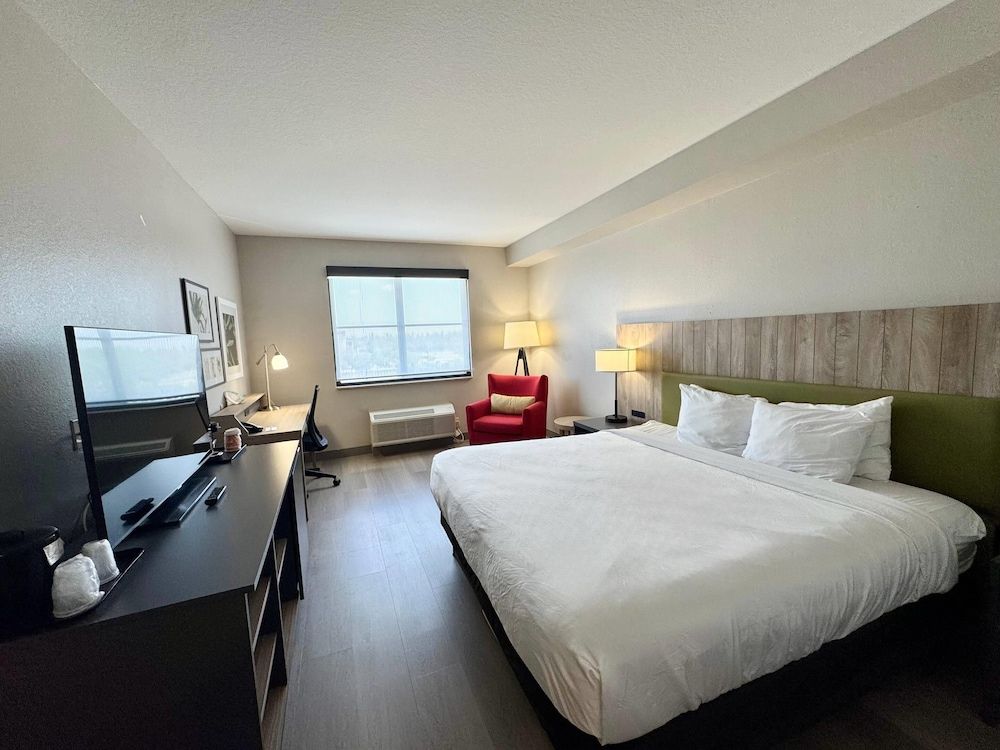 Room, 1 King Bed, Non Smoking