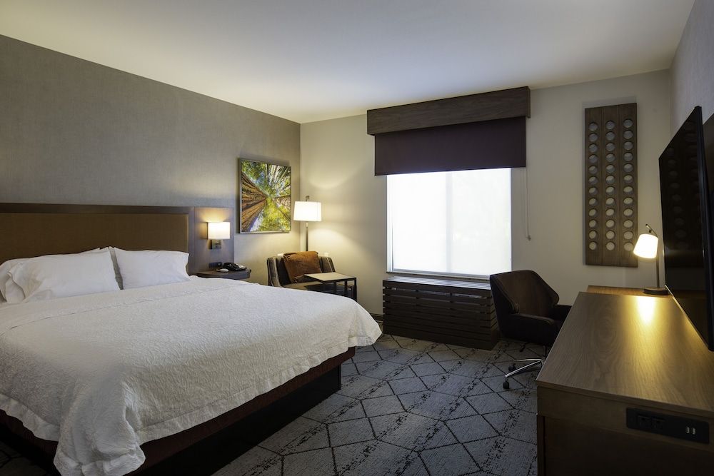 Room, 1 King Bed, Accessible, Non Smoking