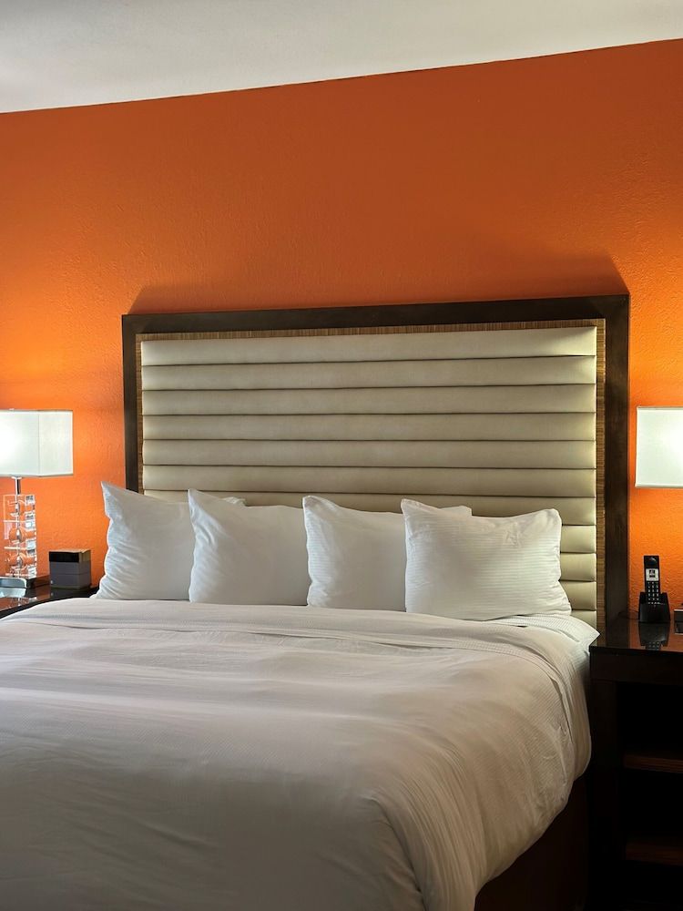 Suite, 1 King Bed, City View