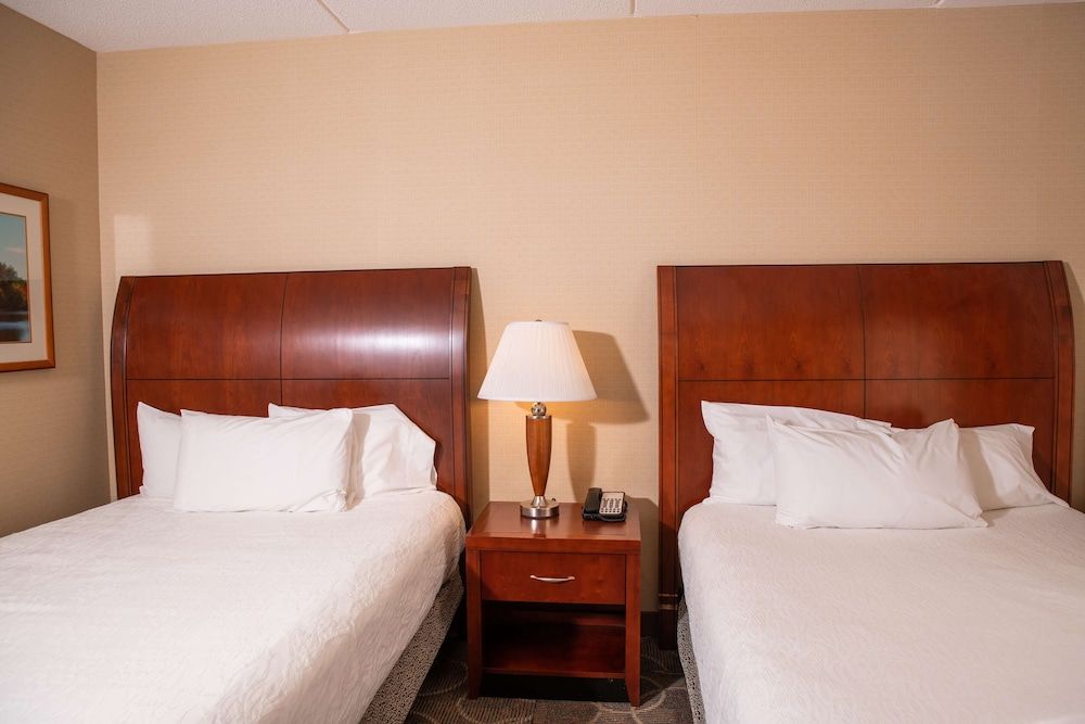 Two queens evolution junior suite