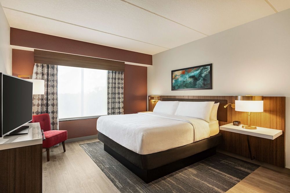 One bedroom evolution suite one king