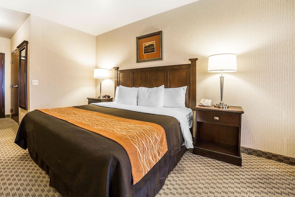 Standard Room, 1 King Bed, Non Smoking