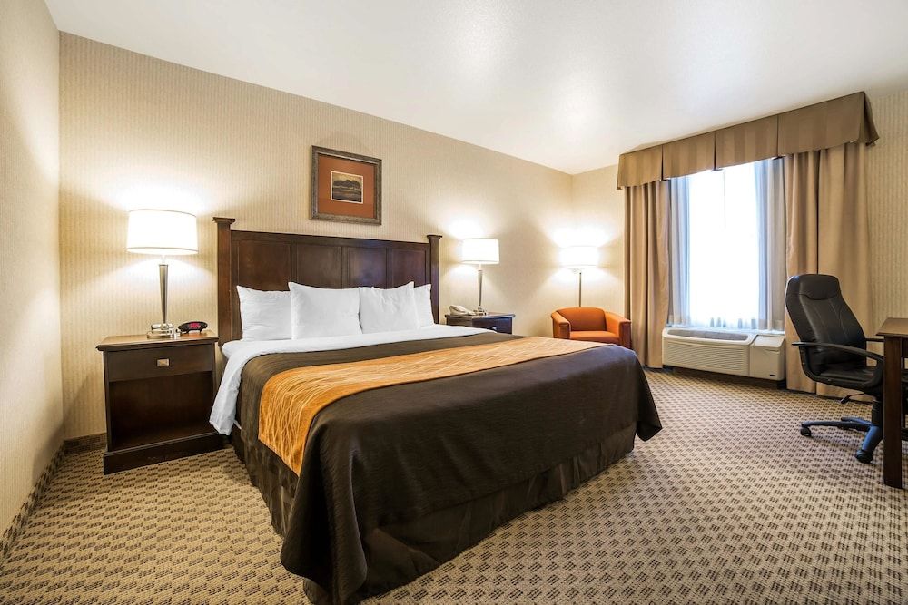 Room, 1 King Bed, Accessible, Non Smoking