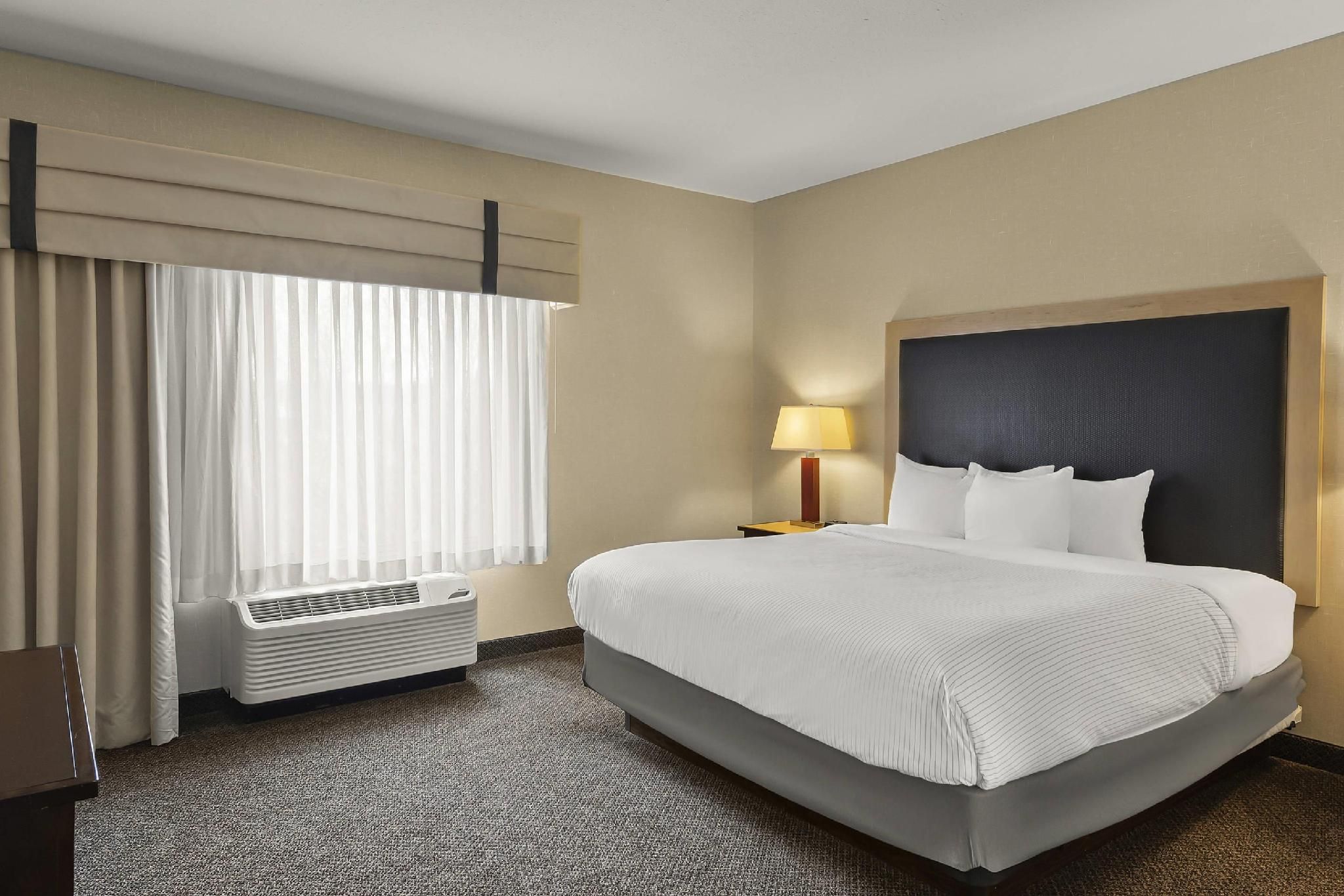 1 King Bed, Suite, Nonsmoking