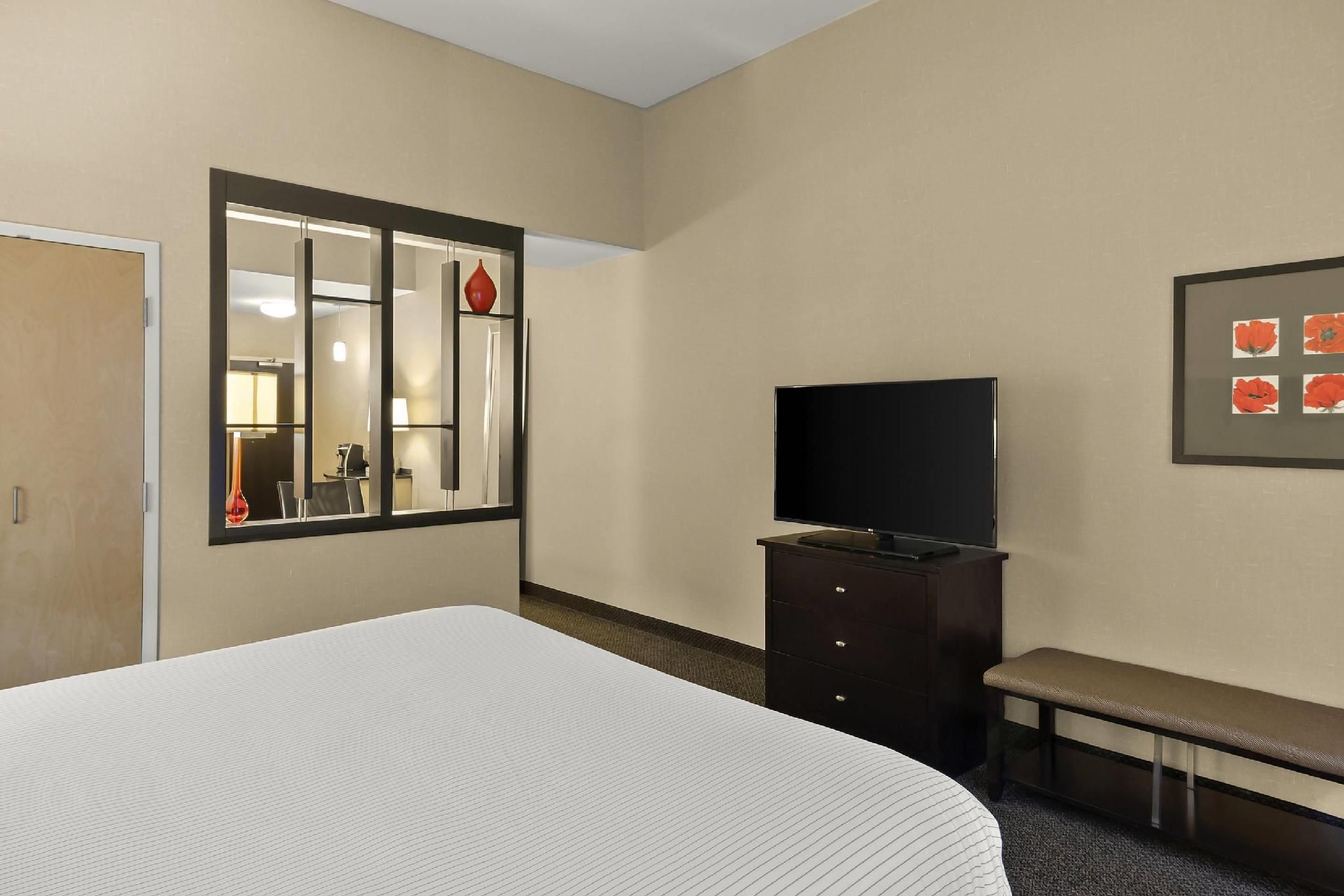 1 King Bed, Suite, Nonsmoking, Accessible