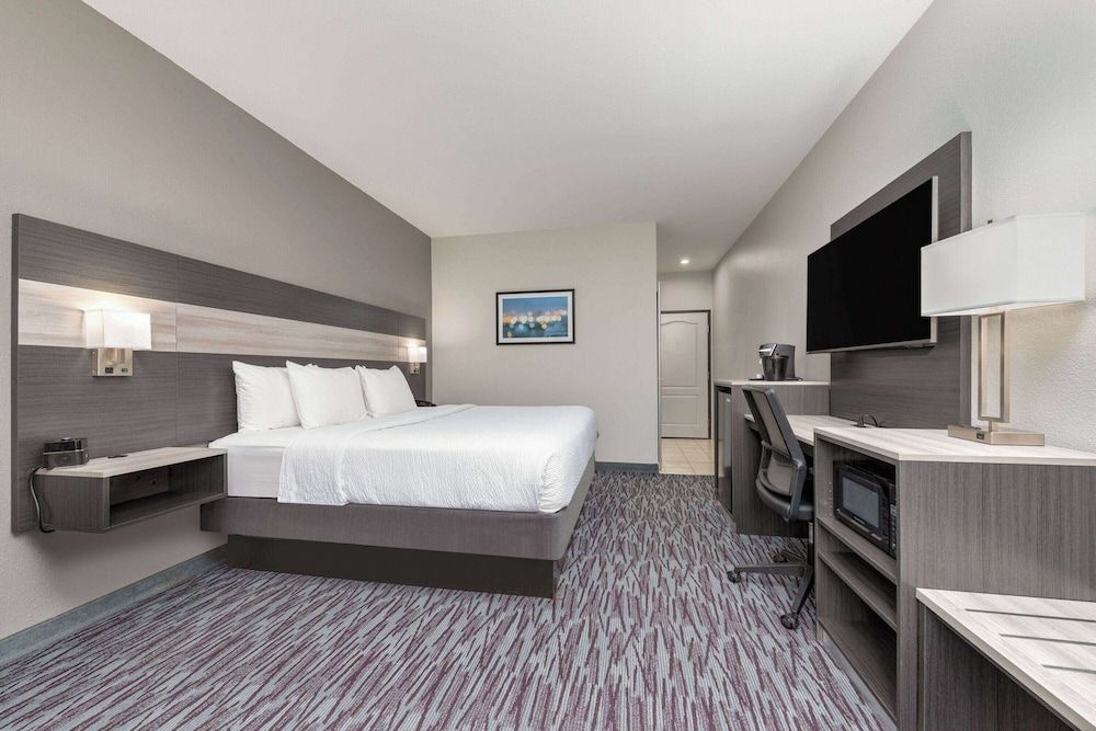 Room, 1 King Bed, Accessible, Non Smoking (Mobility/Hearing, Roll-In Shower)