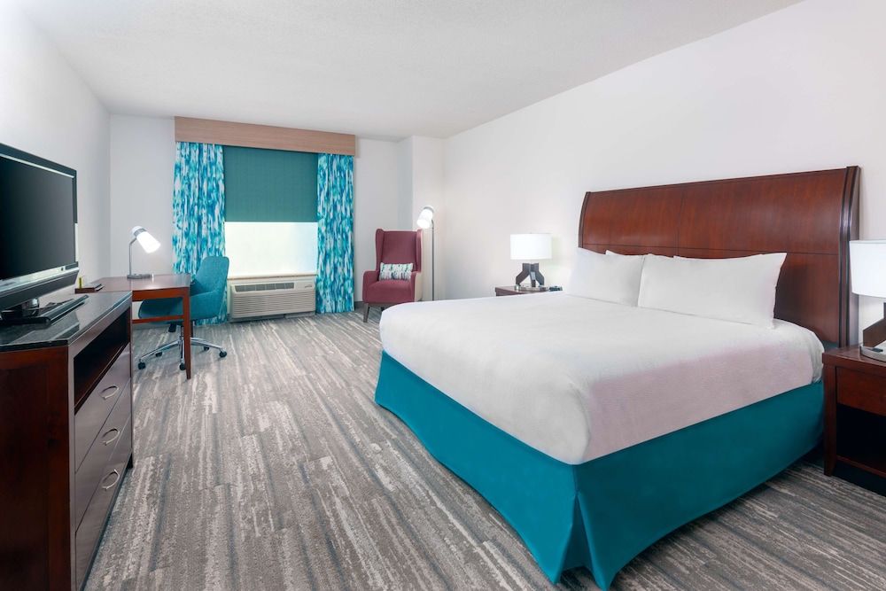 Room, 1 King Bed, Accessible