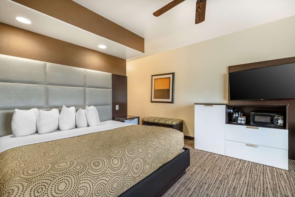Standard Room, 1 King Bed, Non Smoking, Refrigerator & Microwave (Oversized Room)