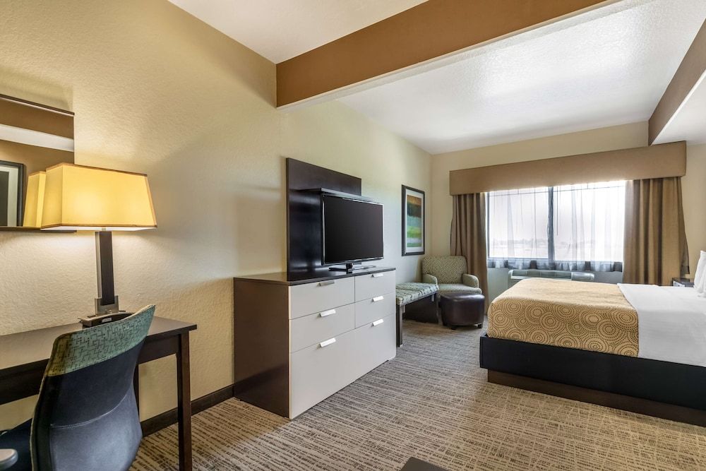 Suite, 1 King Bed with Sofa bed, Non Smoking, Kitchenette (with Sofabed)