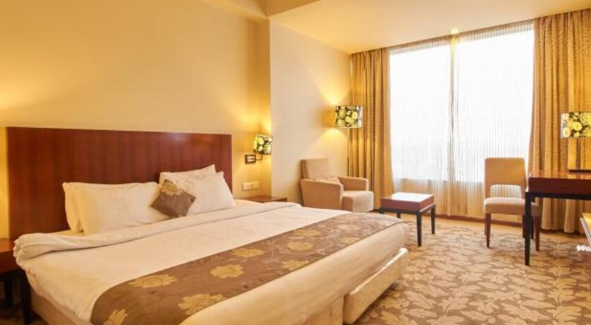 image_294452_b402d7ad-f9e8-4fd2-b4fe-1cee6975e7f9