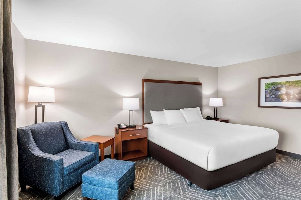 Room, 1 King Bed, Accessible, Non Smoking