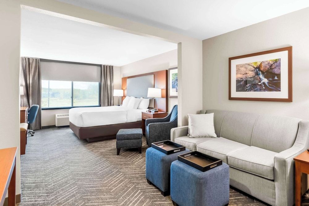 Suite, 1 King Bed with Sofa bed, Non Smoking