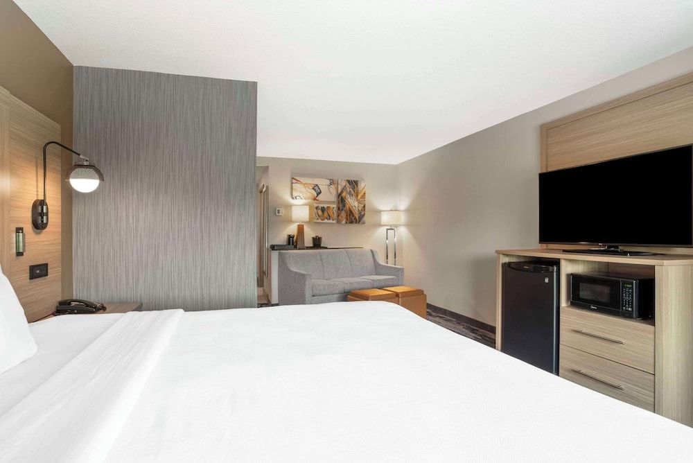 Suite, 1 King Bed with Sofa bed, Non Smoking