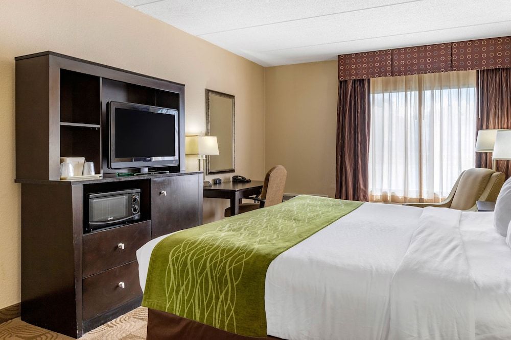 Room, 1 King Bed, Accessible, Non Smoking