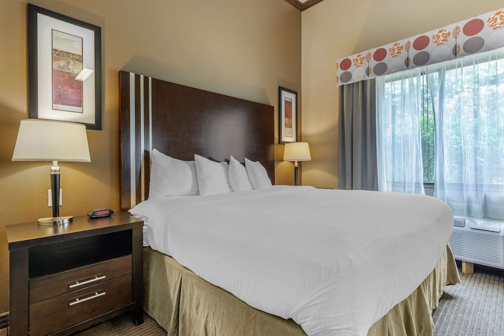 Suite, 1 King Bed, Non Smoking, Jetted Tub (with Sofabed)