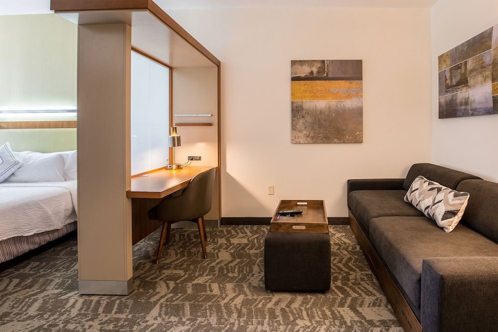 Suite, 1 King Bed with Sofa bed (Hearing Accessible)