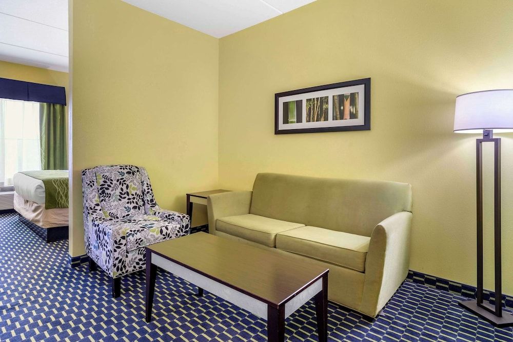 Suite, 1 King Bed with Sofa bed, Non Smoking