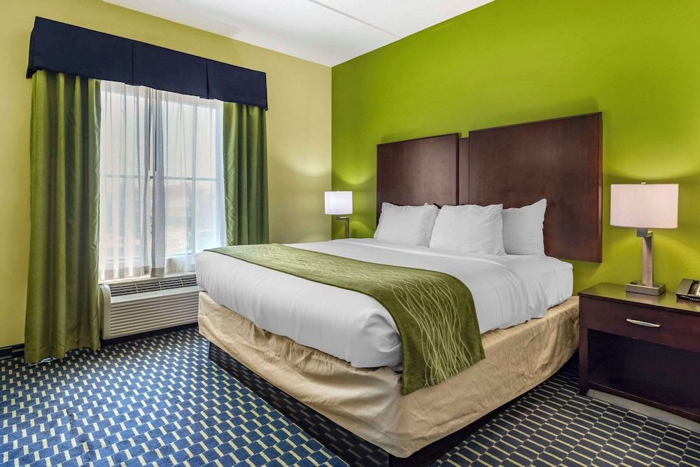 Suite, 1 King Bed with Sofa bed, Non Smoking