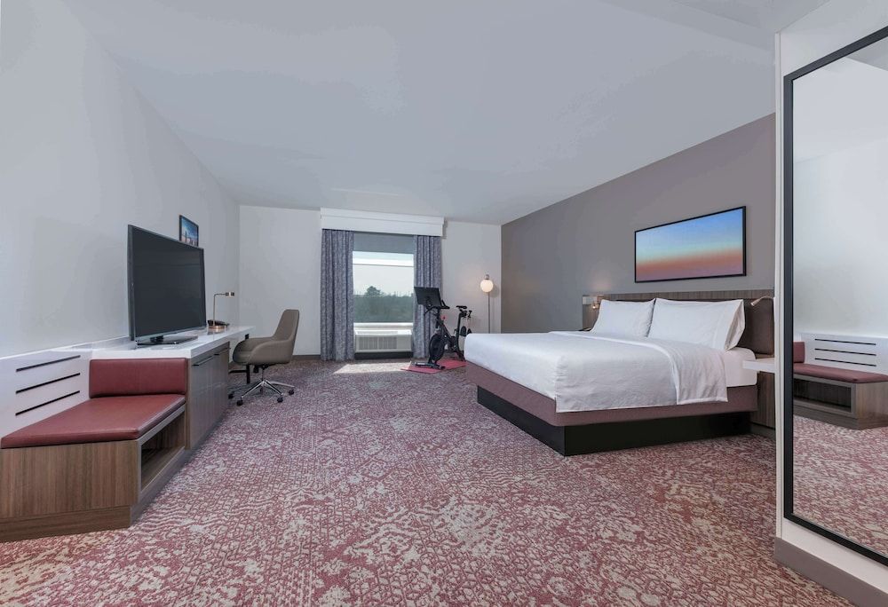 Room, 1 King Bed
