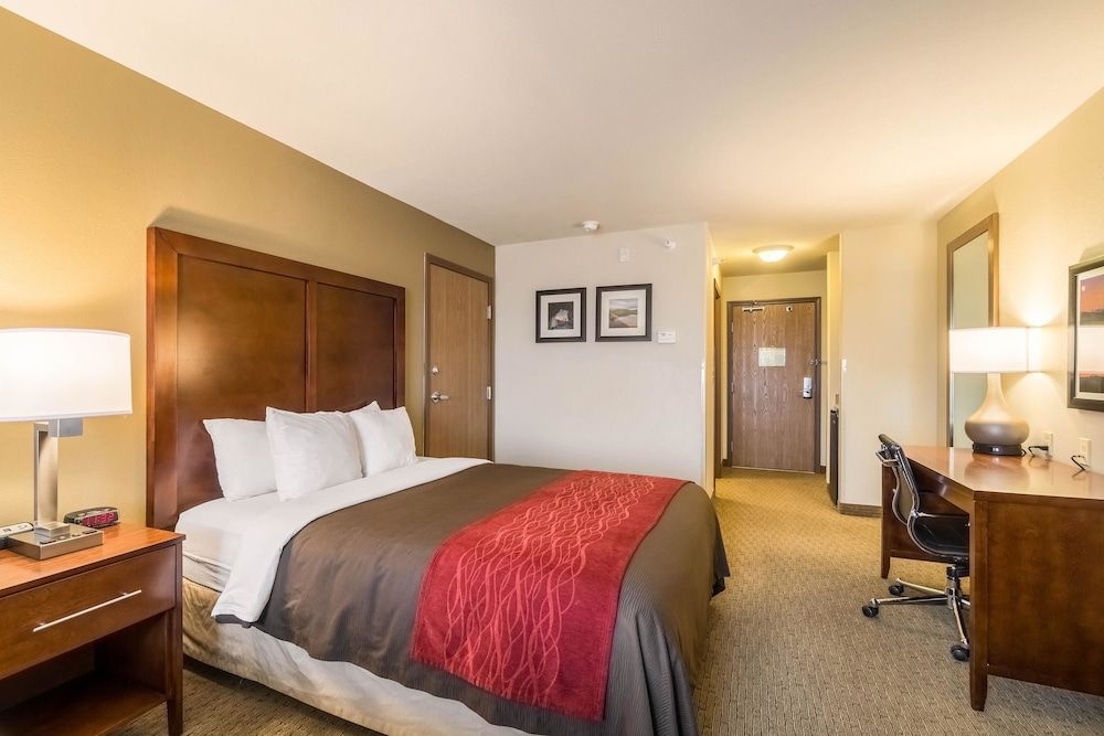 Room, 1 King Bed, Accessible, Non Smoking