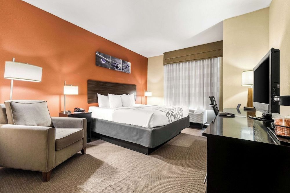 Suite, 1 King Bed with Sofa bed, Accessible, Non Smoking