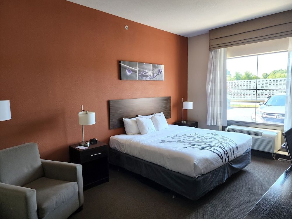 Room, 1 King Bed, Accessible, Non Smoking