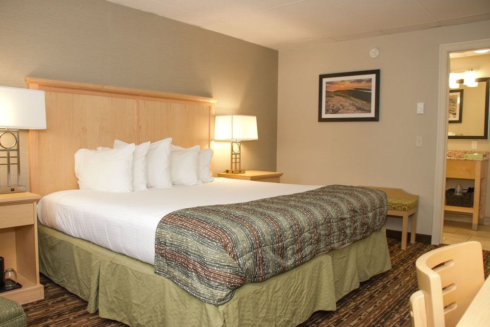 Deluxe Room, 1 King Bed, Non Smoking