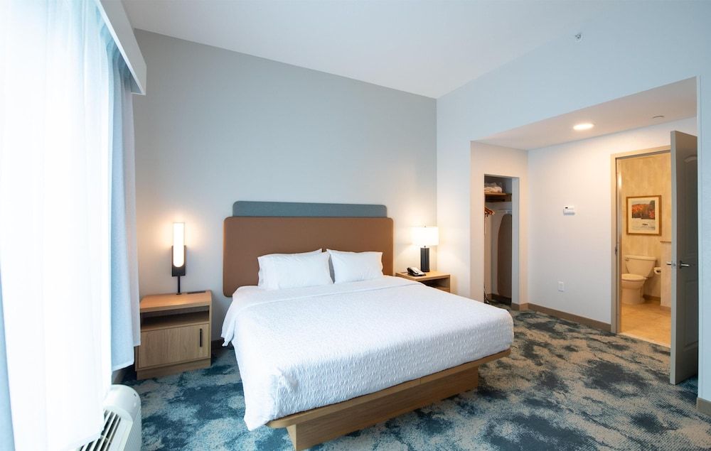 Suite, 1 King Bed with Sofa bed, Non Smoking