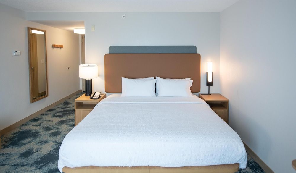 Room, 1 King Bed, Non Smoking