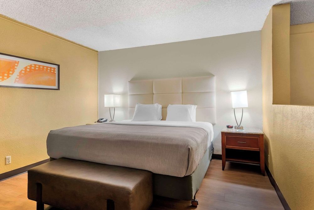 Suite, 1 King Bed with Sofa bed, Non Smoking